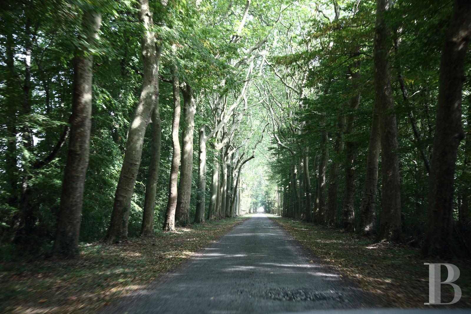 A family chateau in the heart of a vast 200-hectare estate north-west of Nantes, in the Loire-Atlantique - photo  n°2